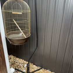 Jaula Para Pajaritos 