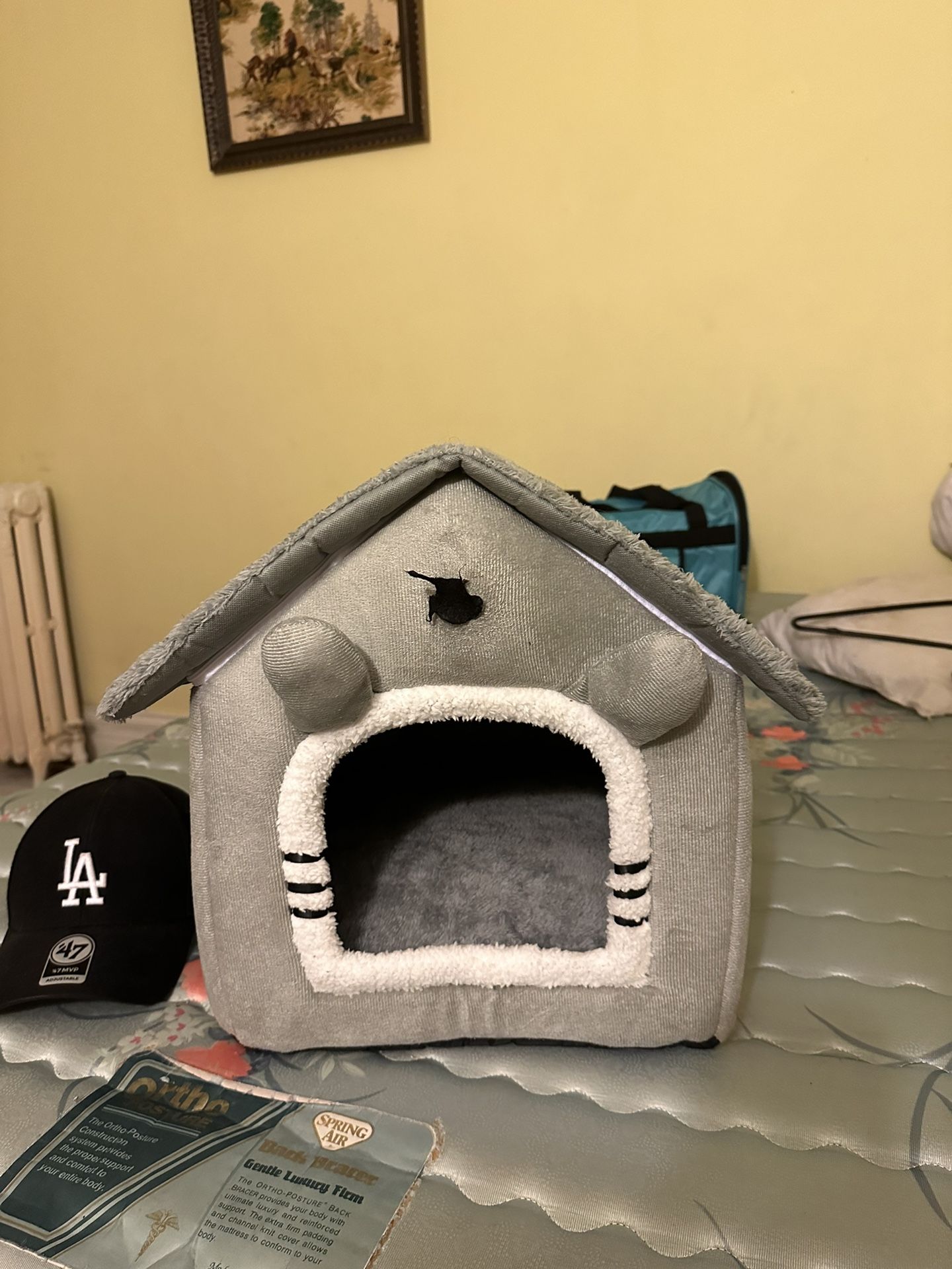 Puppy House