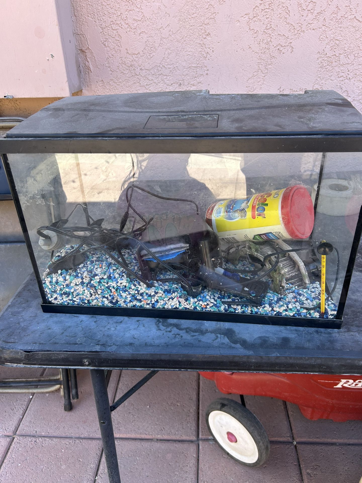 Ten Gallon Fish Tank Diez Gallones