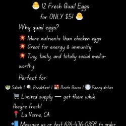 Quail Eggs