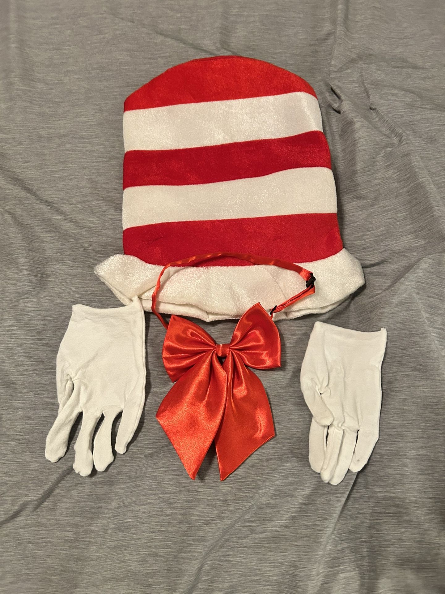 Cat and the Hat Costume