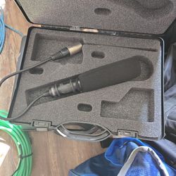 Microphone