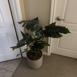 fake monstera plant