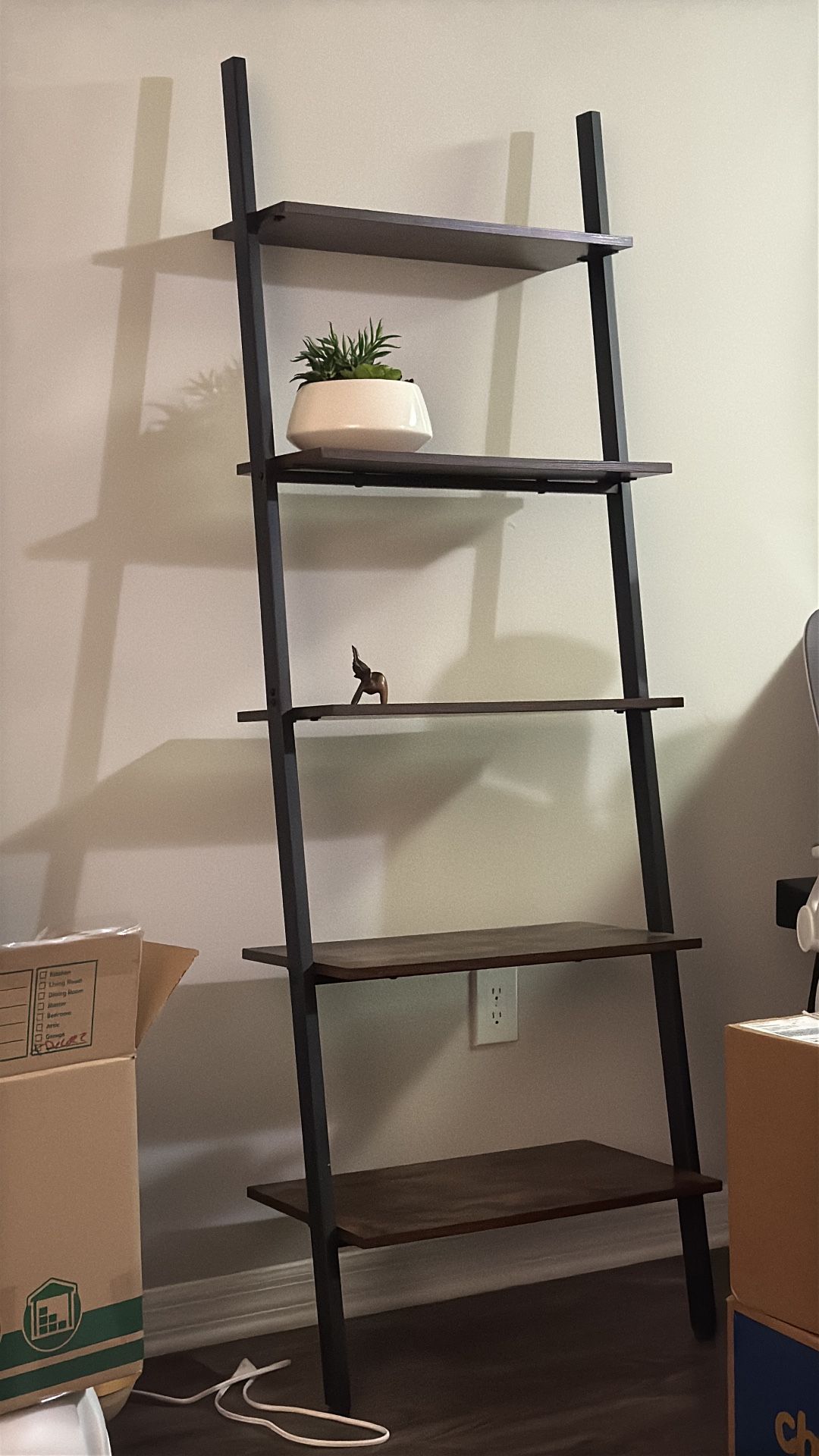 Ladder Type Shelf 