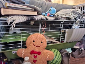 Brand new Actually only used for A transition of Some sort. Rabbit Hutch off Amazon.