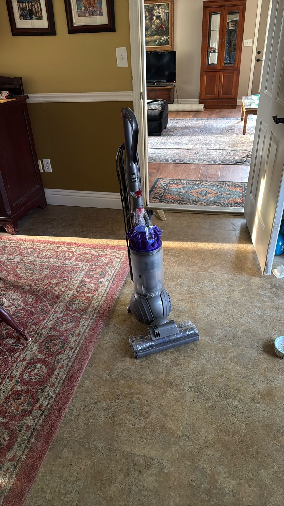 Dyson Ball Vacuum DC65 Animal Plus