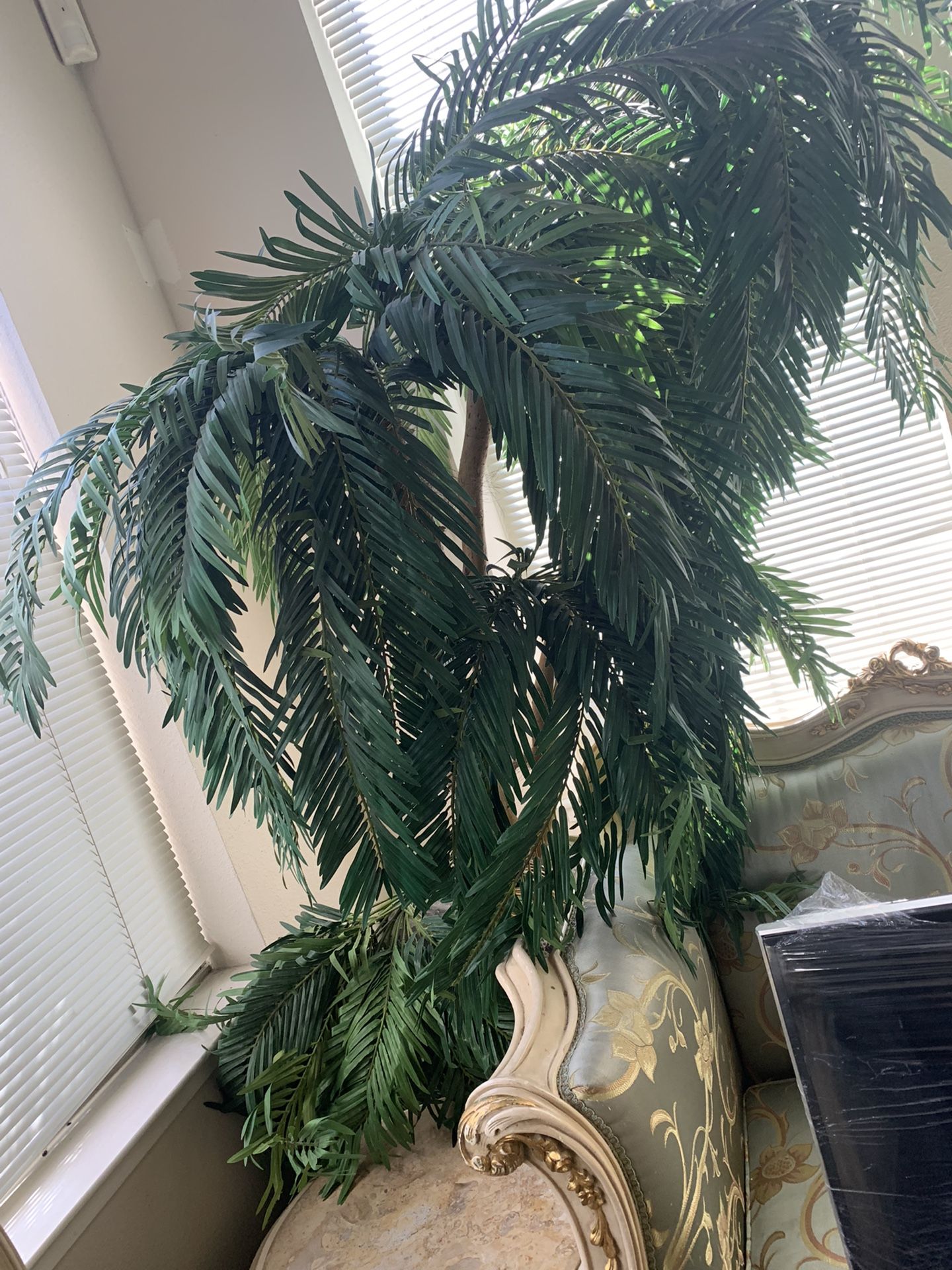 10’ Silk Palms