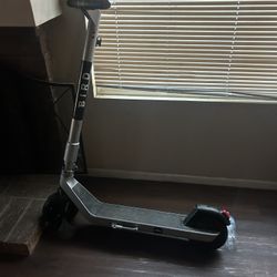 Scooter Bird 