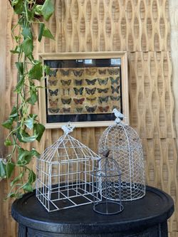 Vintage Framed Butterfly Pictures Collection Art Decoupage Mounted  Insect Bug Nature Decor Gallery Specimen Tray 