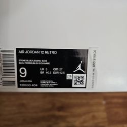 Air Jordan 12 Retro 