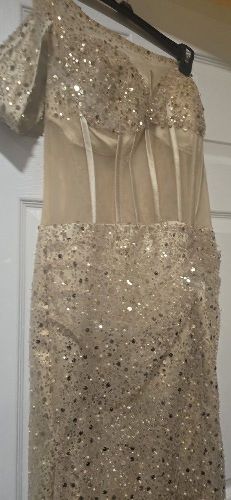 Sheer and Sequin dress Size 12 Dress