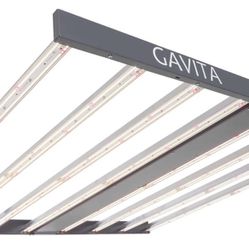 Gavita Growing Lights 