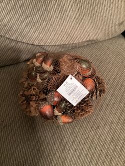 Brand New Fall Bag of Acrons and Pinecones
