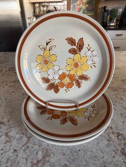 Vintage Stoneware Dinner Plates
