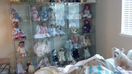 Glass Display Cabinet