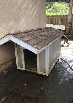 Custom Dog House