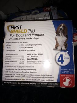 Prescription Flea Treatment