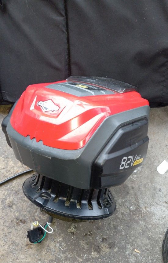 Briggs N Stratton 82v Motor Only