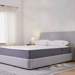Casper Queen Mattress & Box Spring