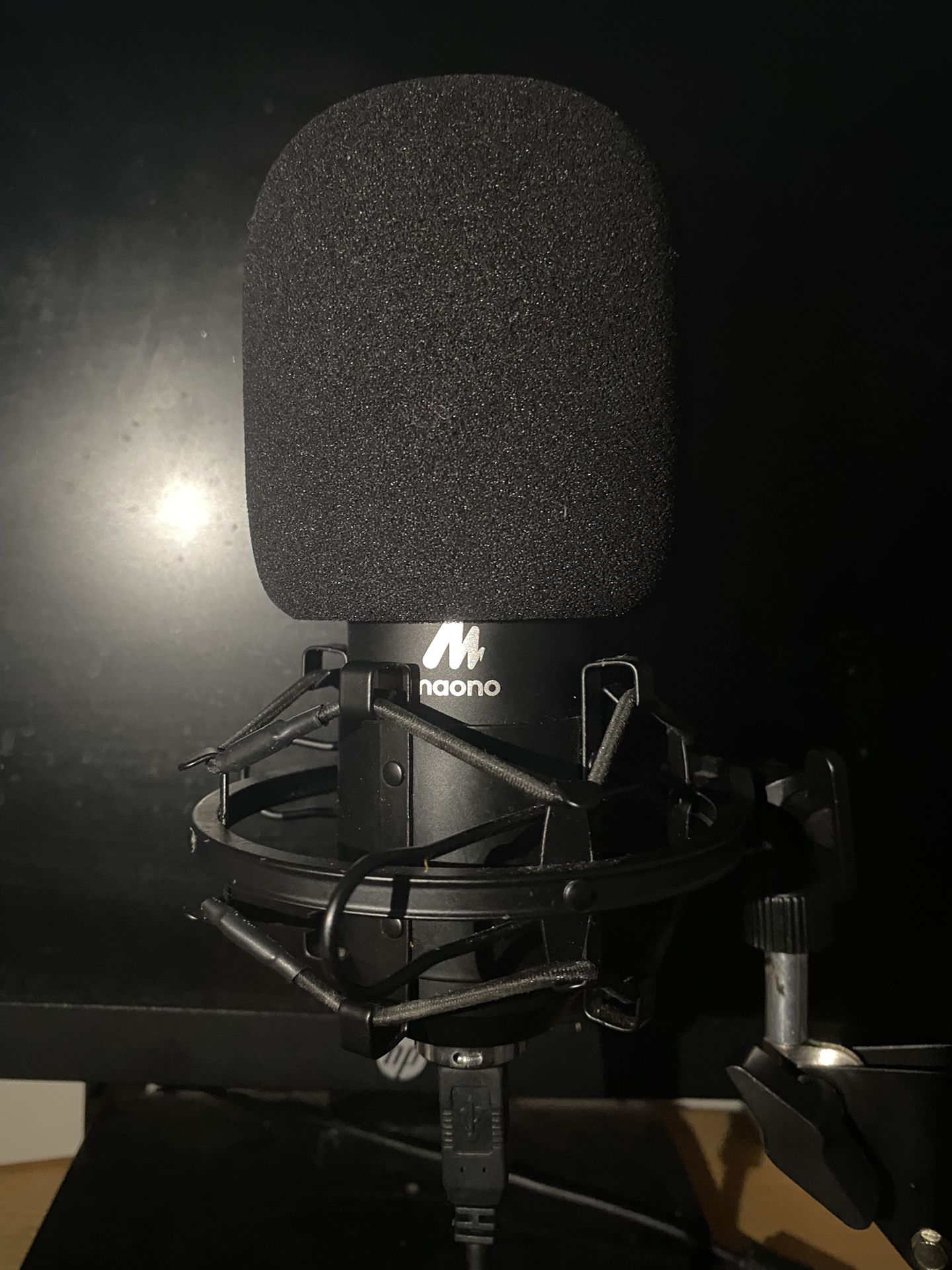 Studio Microphone and Headphones