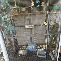 Bird Cage