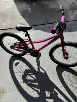 Specialized Rip Rock