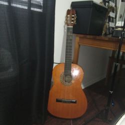 Beginner Childs Guitar Neon 6  Strings 