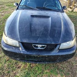 2001 Ford Mustang