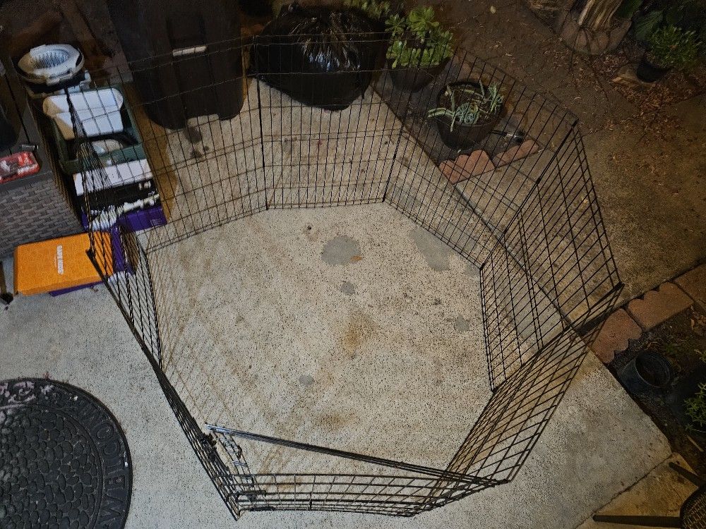 Dog Cage 4.5ft Brand New