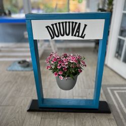 Hand Built Team Color Plant Hangers