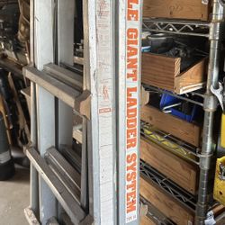Little Giant Ladder System