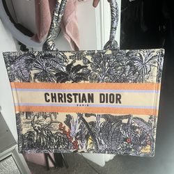 Brand New Authentic Christian Dior Bag