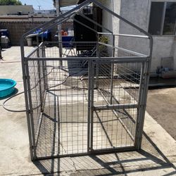 Kennel Run 