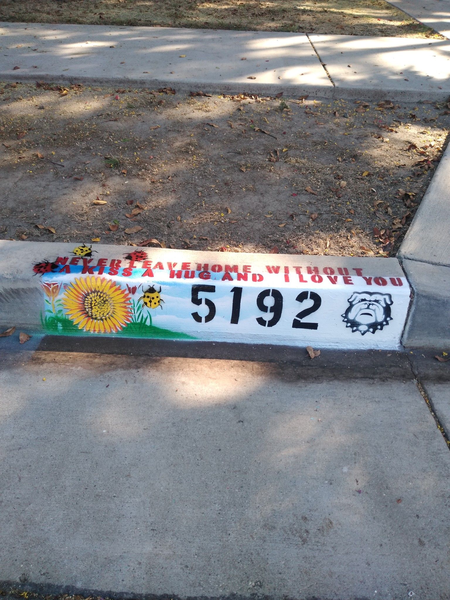 Hand painted design for your curb address.