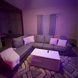 Grey Sectional Couch and coffee table