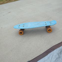 Small  Used Skating Board