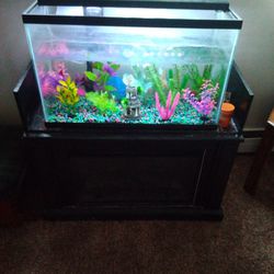 Fish Tank And Electric Fireplace 