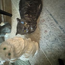 Pair Of Beautiful cat statues 