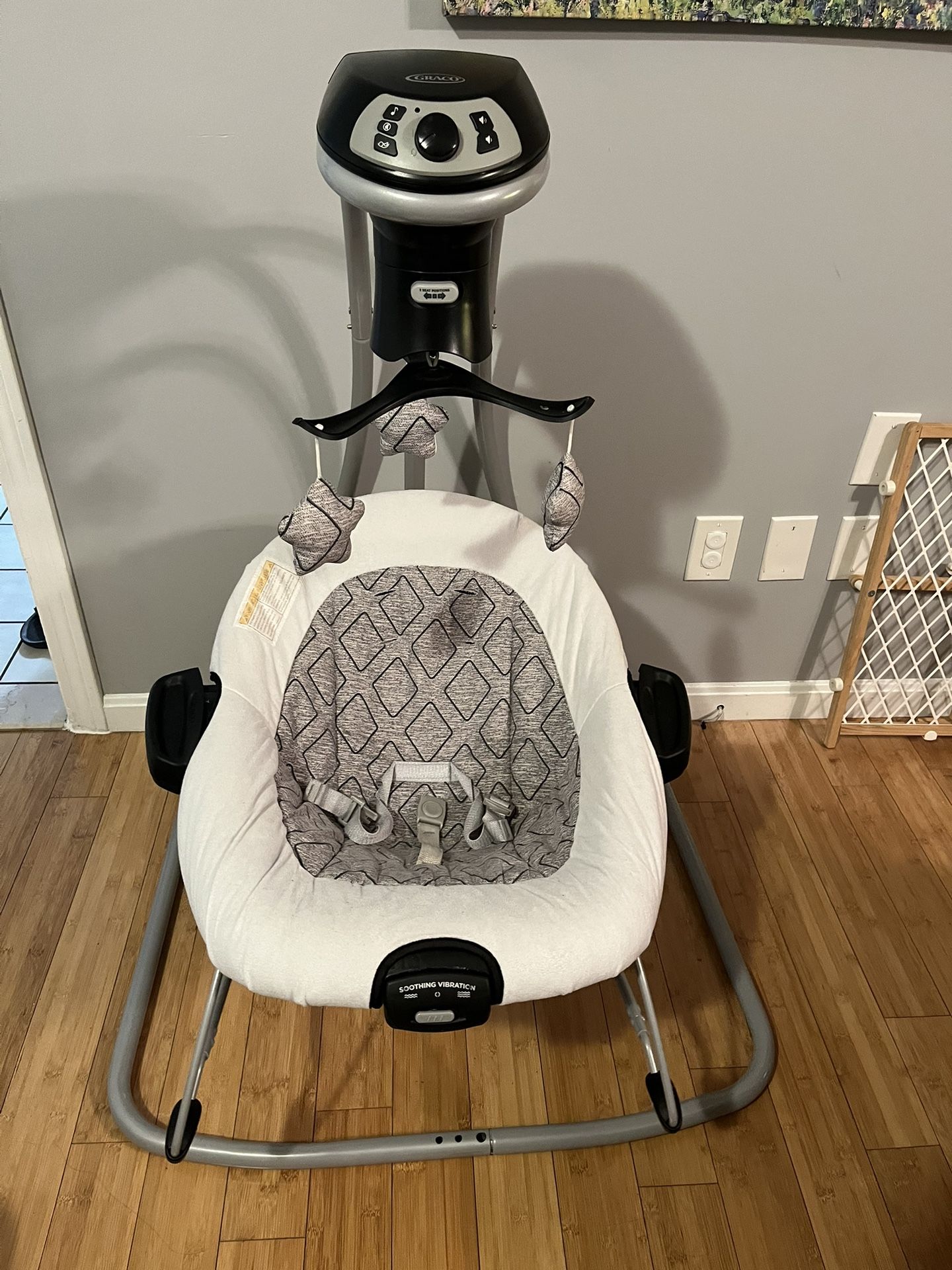 Graco Detachable Swing Set