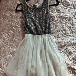 Silver Sequin Dress