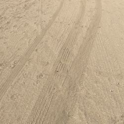 Services Needed,  Negotiable 