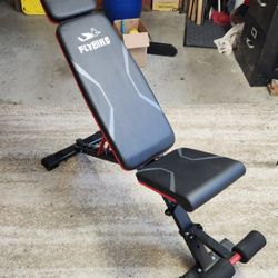 Workout Bench