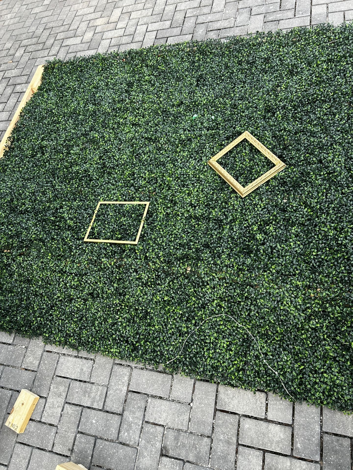 Plant Wall, Wall Art