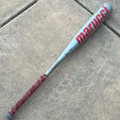 Marucci Cat 7 31/-5 Baseball Bat