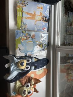 Bluey & Family Costumes 