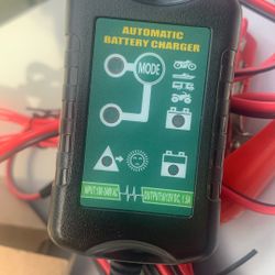 Trickle Battery Charger 