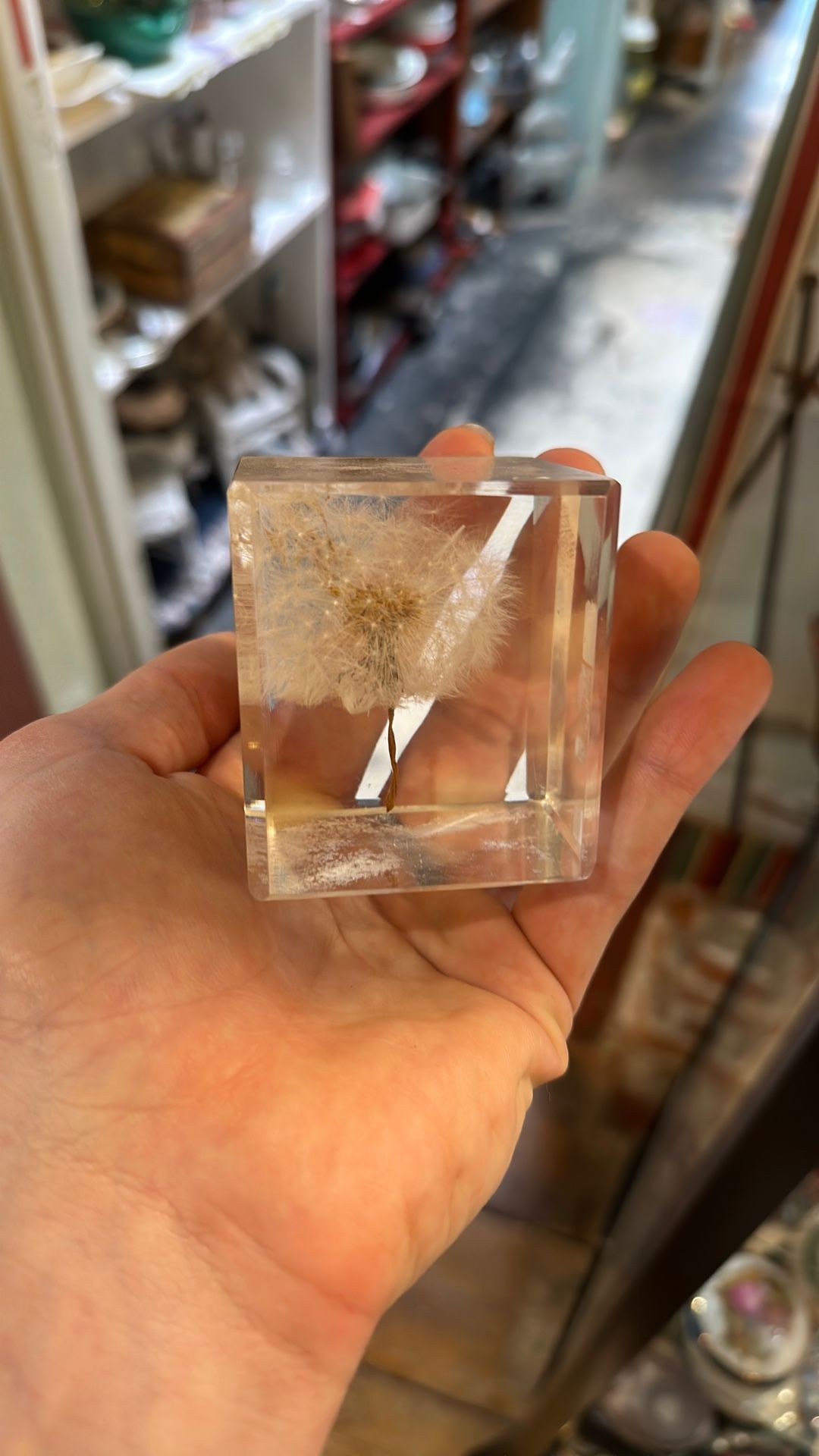 Dandelion Lucite Paperweight