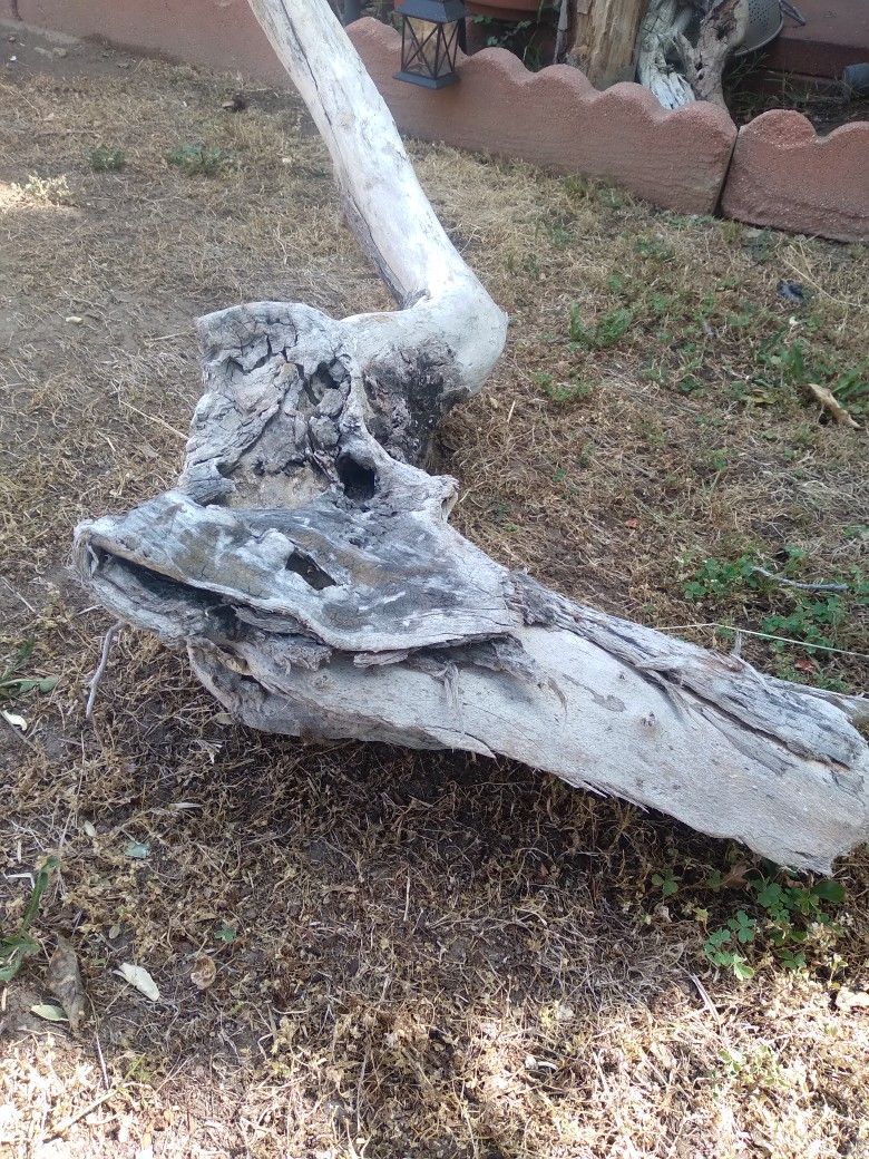 Genuine Driftwood For Aquariums Terrariums Etc