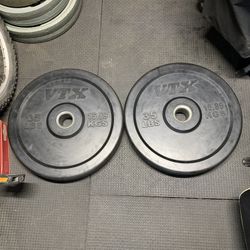 Bumper Weights Pair 