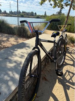 Throne 29er